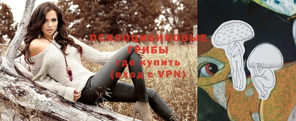 прущая мука Верхний Тагил