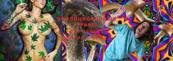 прущая мука Верхний Тагил