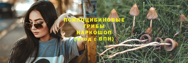 прущая мука Верхний Тагил