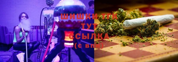 винт Верея