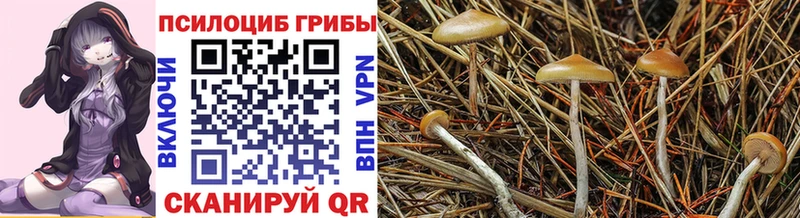 Псилоцибиновые грибы мухоморы  Чистополь 